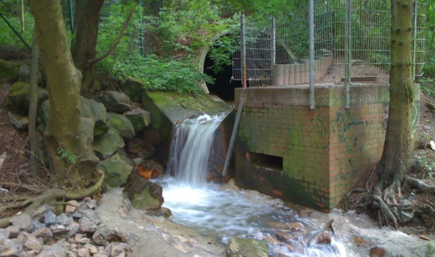 Schlehbach_2